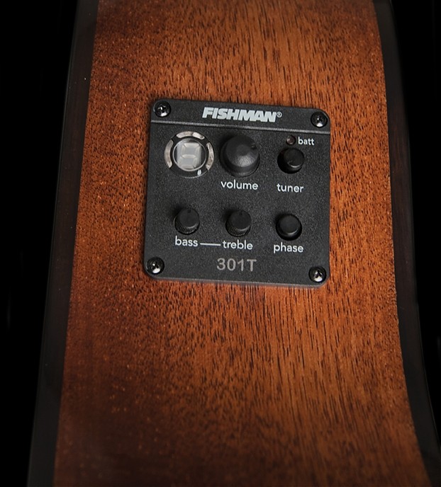 WASHBURN WLO 12 SE (N) gitara elektroakustyczna