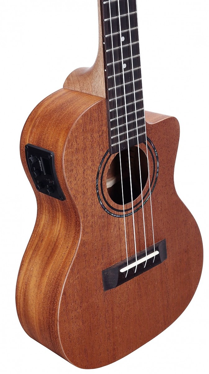 ALVAREZ RU 22 S CE ukulele