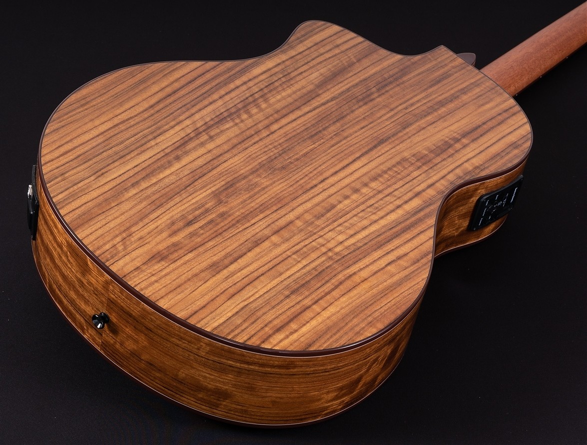 WASHBURN BTS 9 VCE (CH) gitara elektroakustyczna