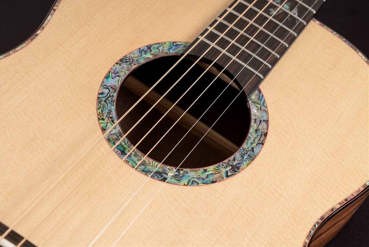 WASHBURN BTS 24 S (N) gitara akustyczna