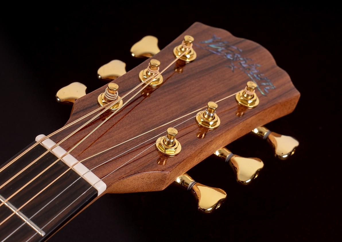 WASHBURN BTS 24 S (N) gitara akustyczna