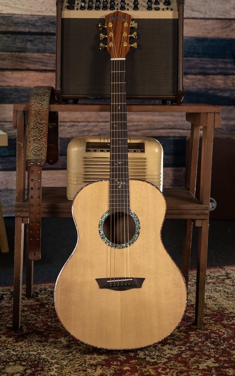 WASHBURN BTS 24 S (N) gitara akustyczna
