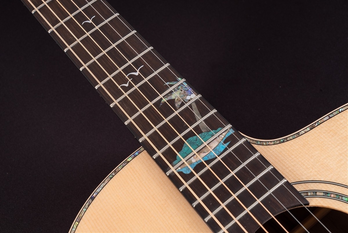 WASHBURN BTS C56 SCE (N) gitara elektroakustyczna