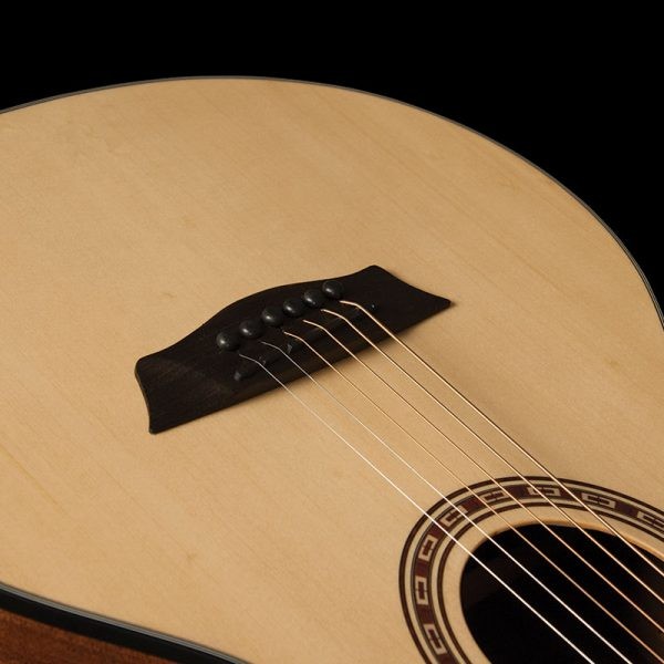 WASHBURN AGM 5 (N) gitara akustyczna