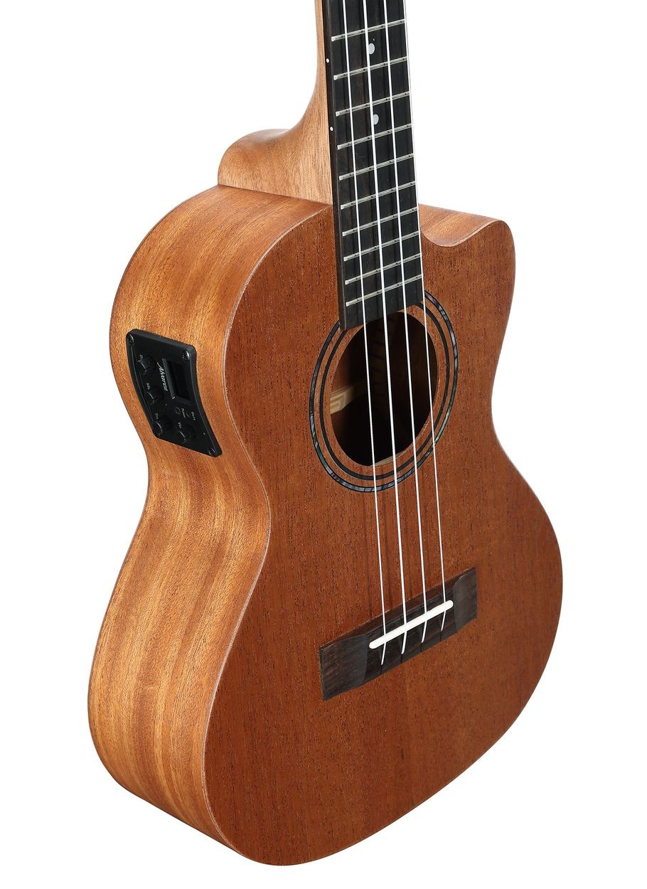 ALVAREZ RU 22 T CE ukulele