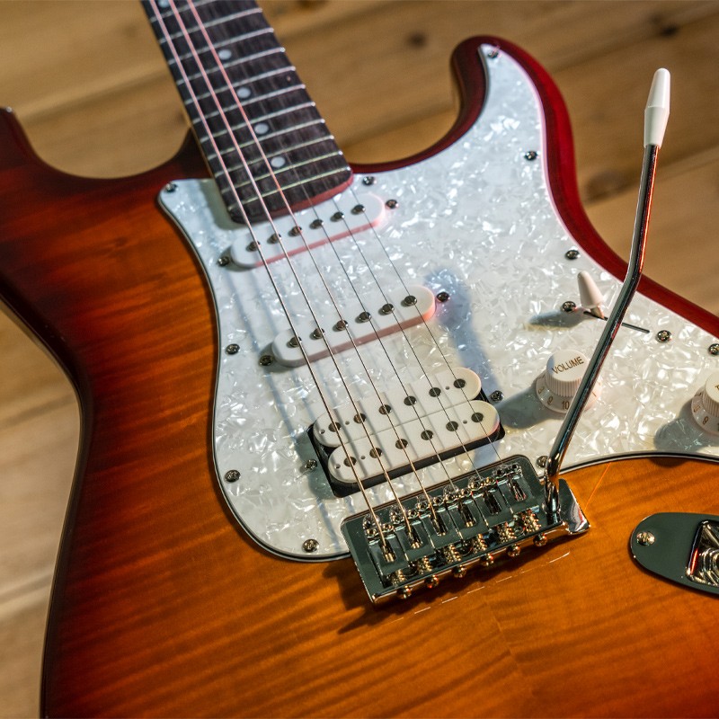 WASHBURN SD (FSB) gitara elektryczna