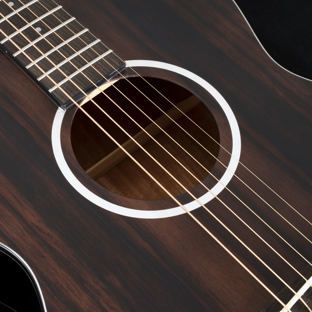 WASHBURN DF (EFE) gitara elektroakustyczna