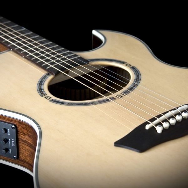 WASHBURN EA 20 SNB (N) gitara elektroakustyczna