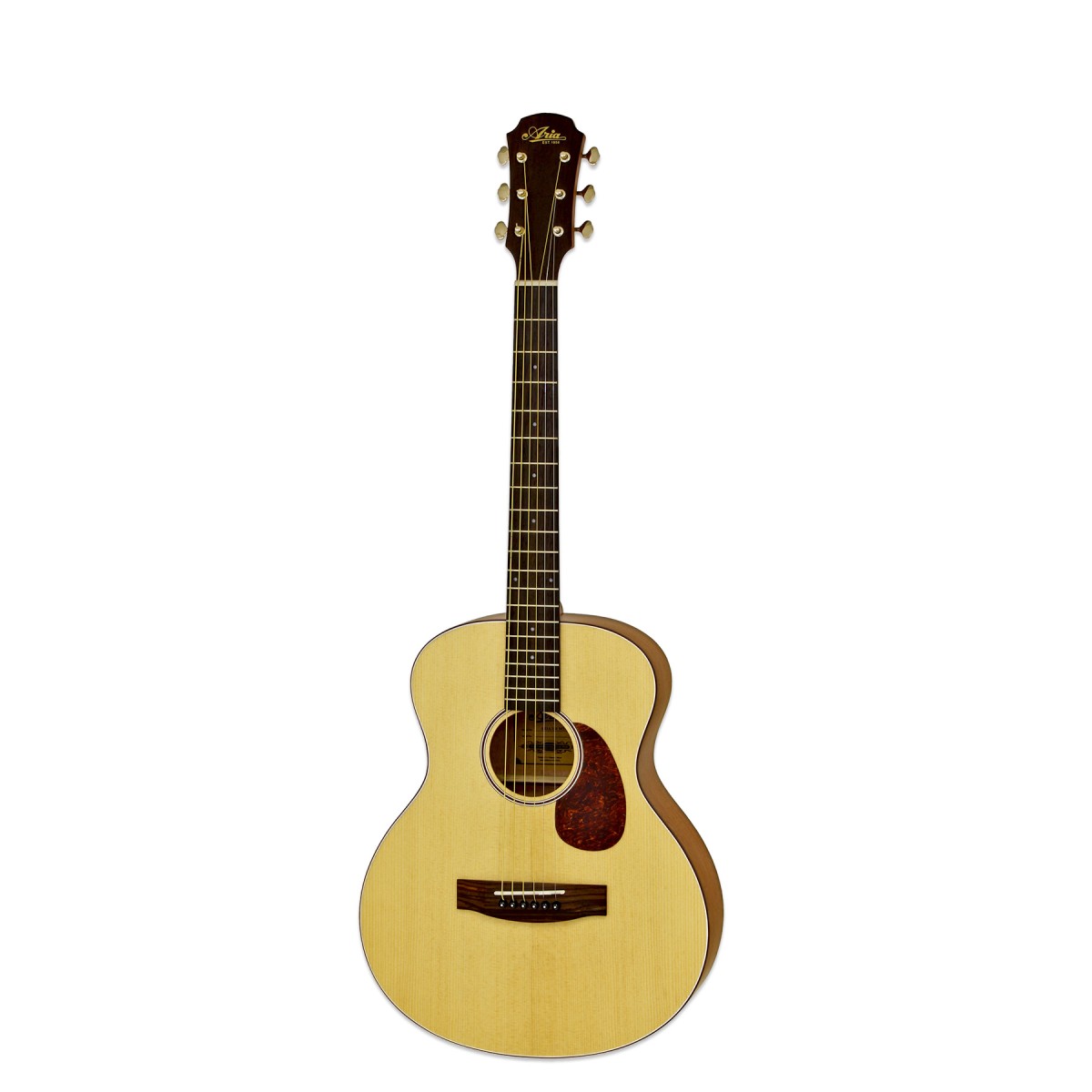 ARIA 151 (MTN) gitara akustyczna