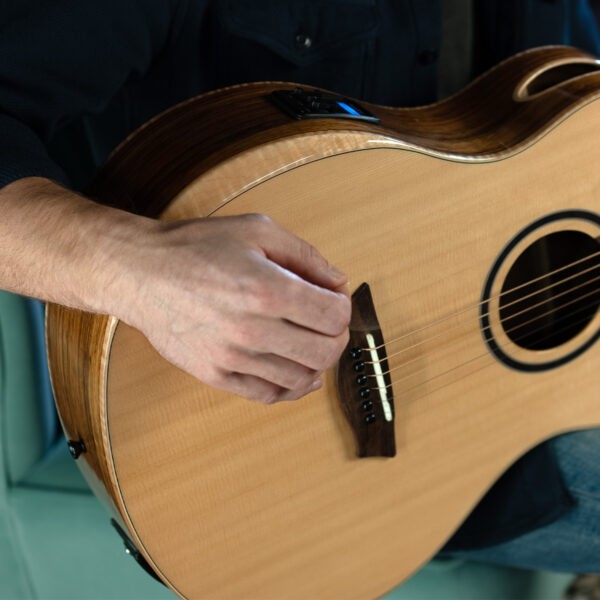 WASHBURN BTS C40 SCE (N) gitara elektroakustyczna