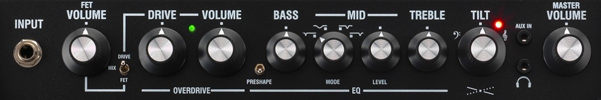 LANEY DBF-100 combo basowe