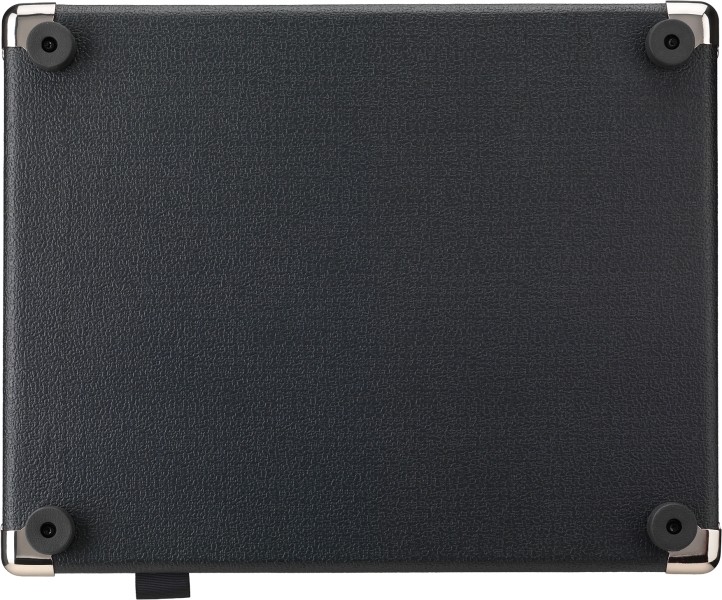 LANEY DBF-100 combo basowe