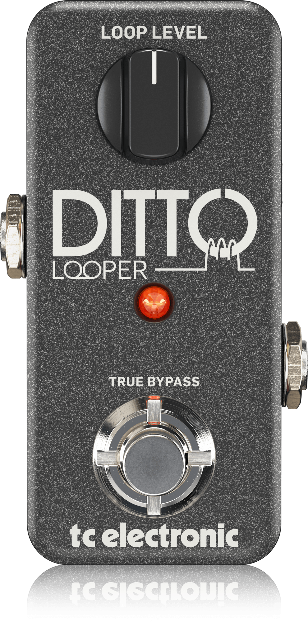 TC Electronic Ditto Looper Looper